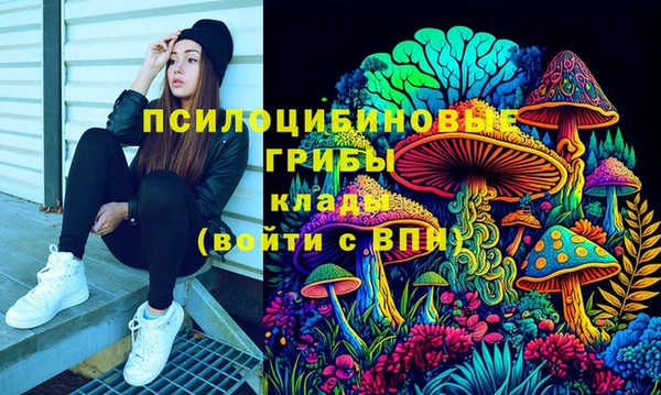 а пвп мука Абаза