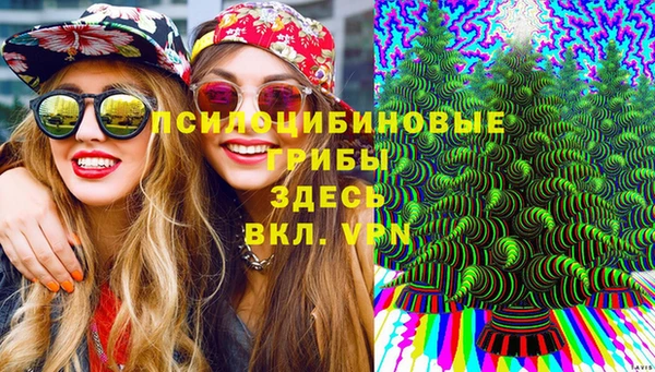 apvp Нязепетровск