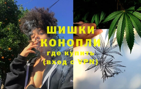 шишки Нягань