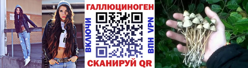 MEGA вход  Разумное  Галлюциногенные грибы Cubensis  наркота 